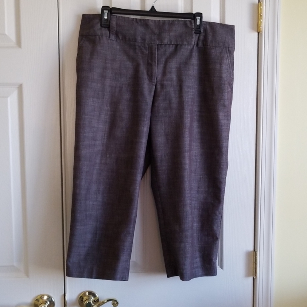 Women's dress capri